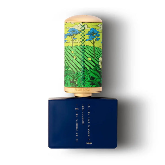 I See The Clouds Go By